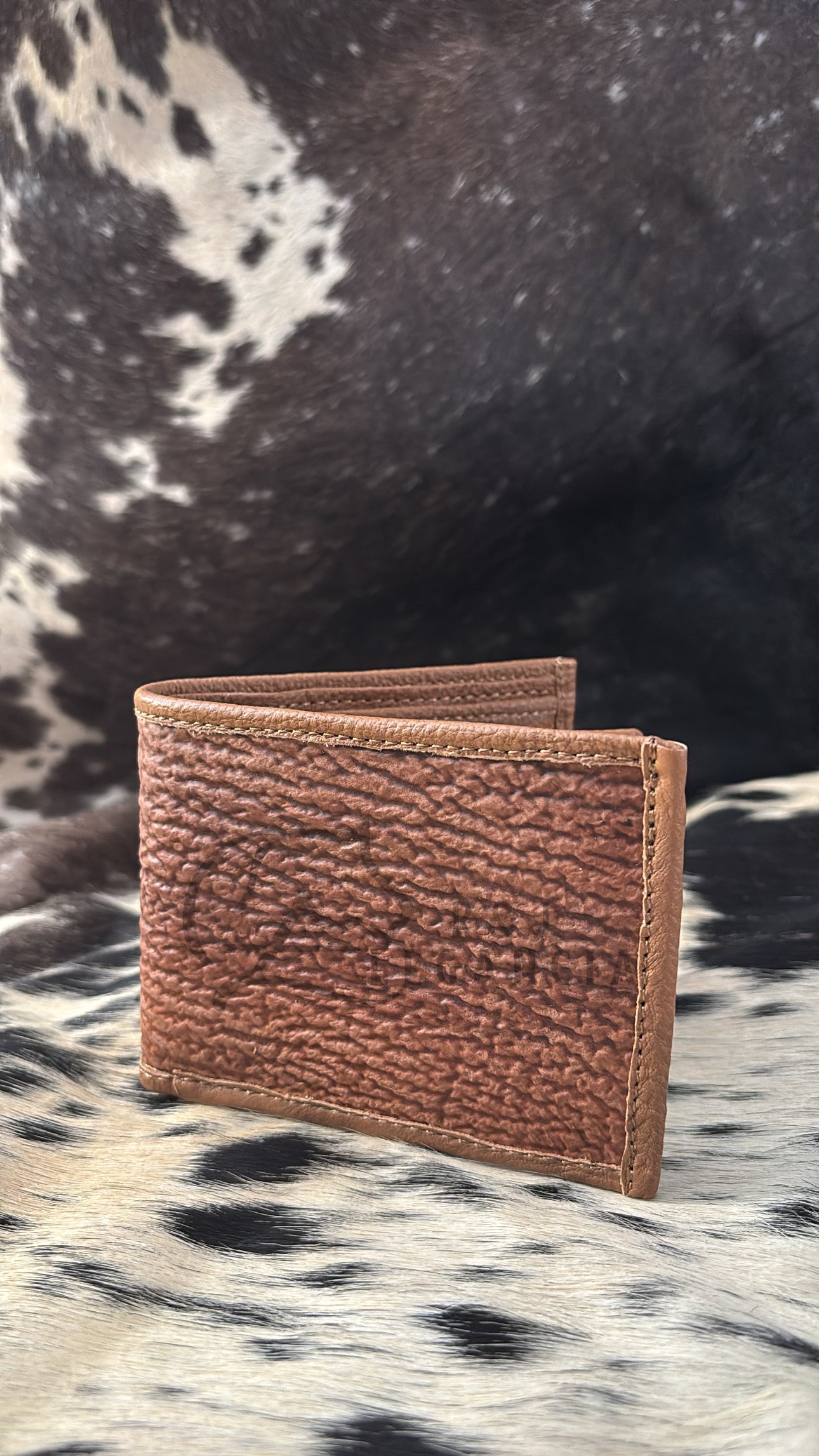 Shark Wallet